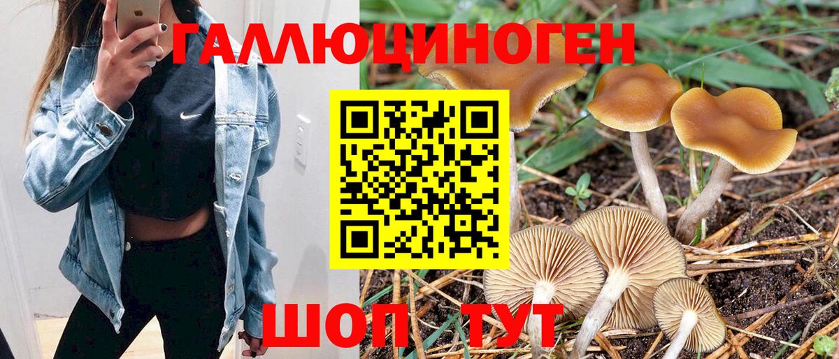 Семилуки  Псилоцибиновые грибы Cubensis  Вход с VPN  Галлюциногенные грибы прущие грибы 